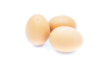 egg isolated