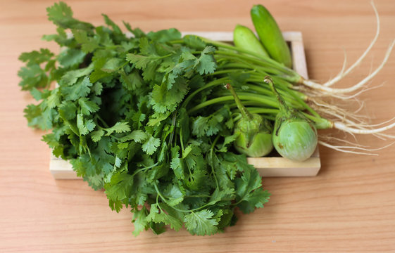 coriander leaves with green eggplant and cucumber with wooden background