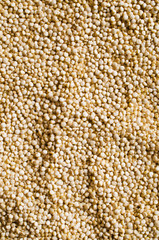 Quinoa dry seeds
