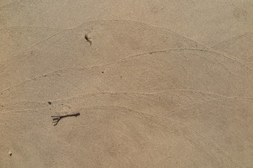 sand on the beach