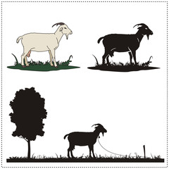 goat on a white background - vector silhouette goat