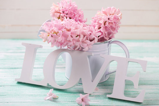 Word love and pink flowers in decorative watering can  on turquo