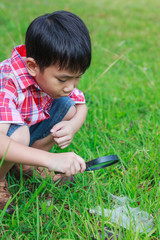 Young boy exploring nature with magnifying glass. Outdoors