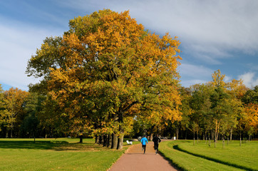 Park Alexandria.