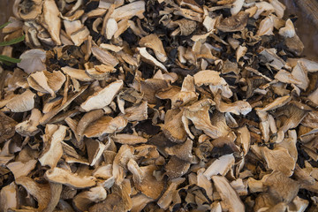 pieces of dried mushrooms