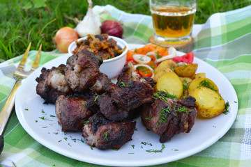 Shish kebab, fried meat on the coals