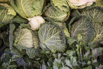 savoy cabbage leaves