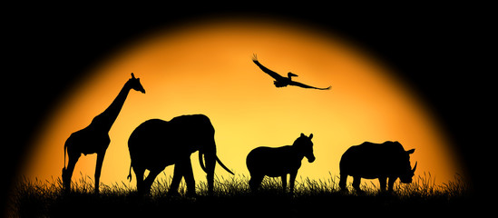 Fototapeta na wymiar Silhouette african animals on the background of sunset