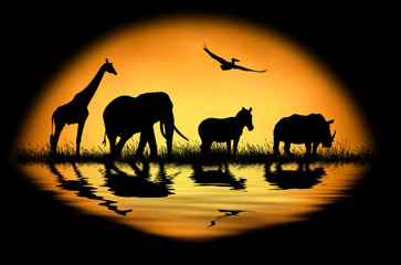 Silhouette african animals on the background of sunset