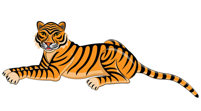 Tiger. Isolated animal. Vector illustration.