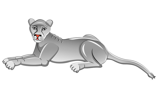 White Lioness. Isolated animal. Vector illustration.