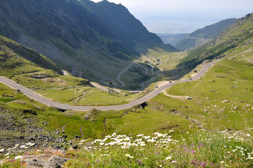 Fototapeta na wymiar Mountain road / Transfagarasan road in summer
