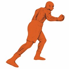 Silhouette of a boxer, vector draw