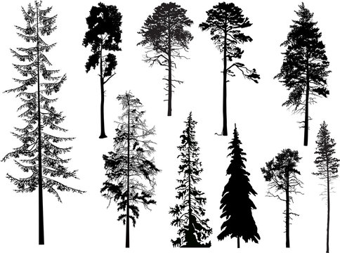 ten black trees set isolated on white