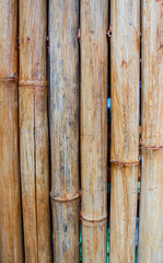 bamboo fence background