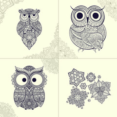 Fototapeta premium illustration of ornamental owl. Bird illustrated in tribal. Set of ornamental owls with flowers and pattern from owls.
