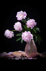 Beautiful pink peonies