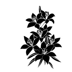Obraz premium Black silhouette Lily.
