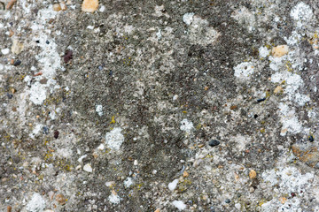 Old cracked concrete background wall
