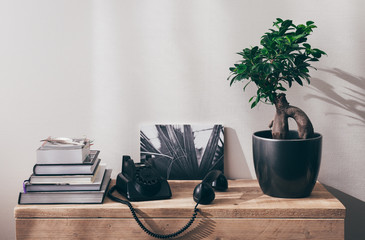 Be right back. Interior composition with old-fashioned telephone and ficus plant