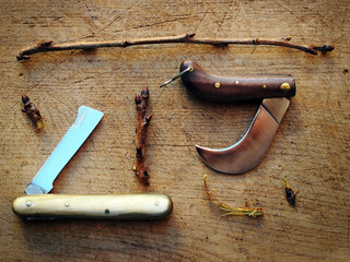 Different different kinds of grafting and budding knives with cherry twigs.