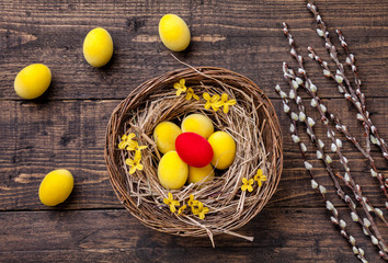 Easter eggs on a wooden background