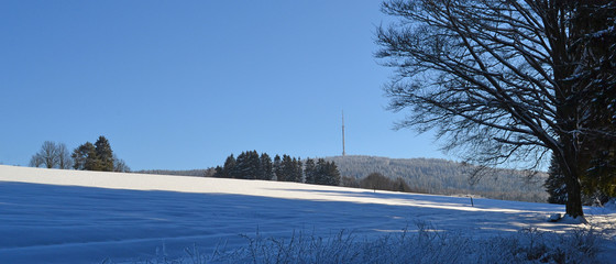 Winter im Fichtelgebirge mit Blick vom Bischofsgrüner Gehren zum Ochsenkopf