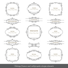Vintage calligraphic frames and borders set isolated on white.
