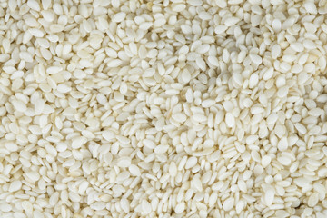 White sesame seeds background