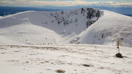 Winter mountain in  Bulgaria. Snow fields, winter post marks and herd of wild goats. Rila mountain, Bulgaria.