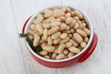 White canned kidney