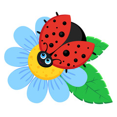 Fototapeta premium Vector illustration of beetle on flower