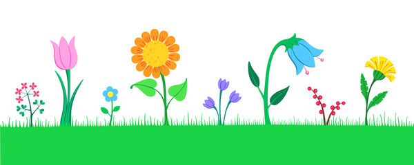 Vector illustration of  many  beautiful flowers