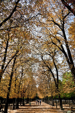 Luxembourg park in Paris, France
