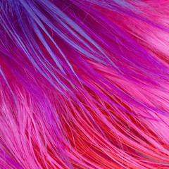colorful artificial hair texture