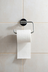 Toilet paper in holder