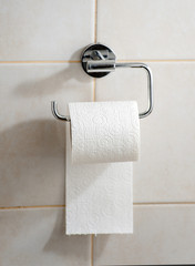 Toilet paper in holder