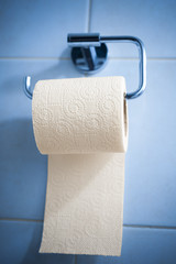 Toilet paper in holder