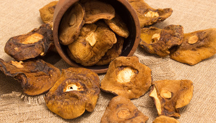 Dried mushrooms on canvas