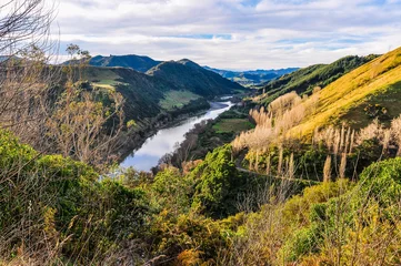 Keuken spatwand met foto River and forest in Whanganui National Park, New Zealand © kovgabor79