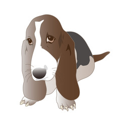 バセット・ハウンド犬のイラスト