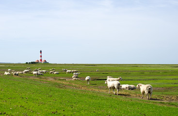 Obraz premium Westerhever Leuchtturm - Nordsee 