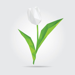 Polygonal Flower Tulip. White Tulip in Vector