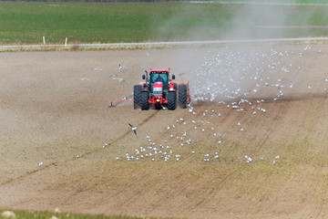 Spring bowing on the field with tractor and seeding machine