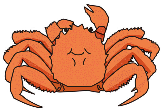 1 6 件の最適な 毛ガニ 画像 ストック写真 ベクター Adobe Stock