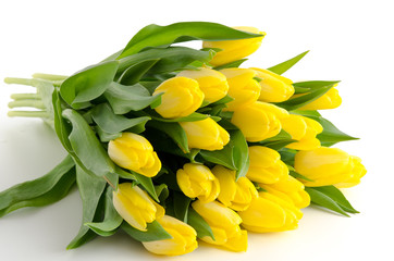 Gelbe Tulpen