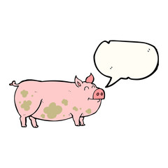speech bubble cartoon muddy pig