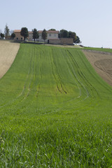 Serra de' Conti - Marche - Italia
