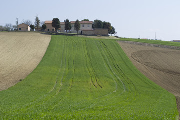 Serra de' Conti - Marche - Italia
