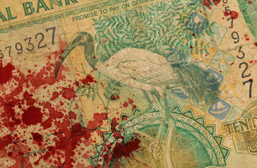 10 Gambian dalasi bank note, bloody
